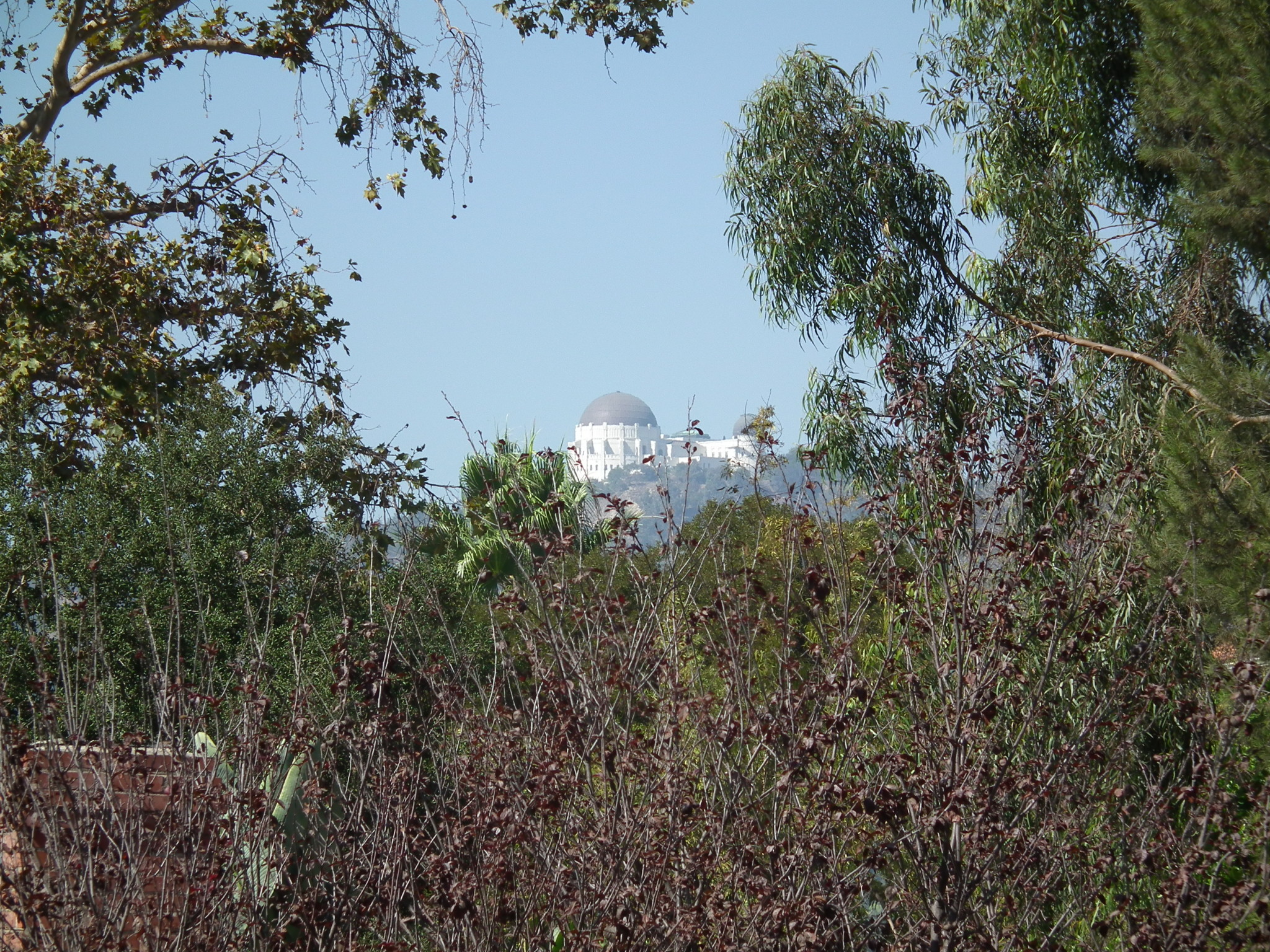 griffith observatory, los feliz, franklin hills, view property, real estate development