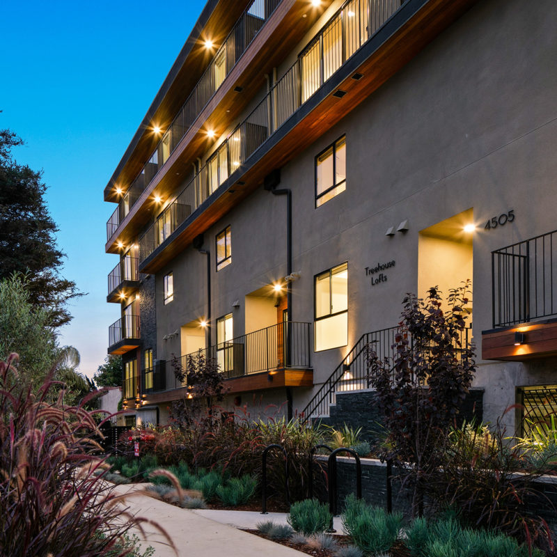 Treehouse Lofts